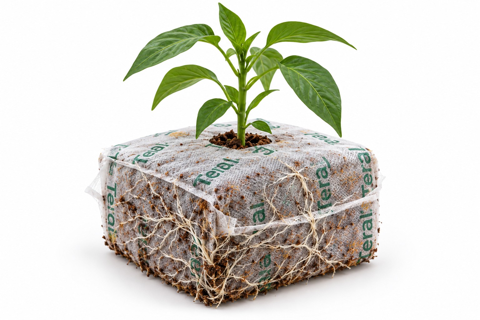 Propagation cubes illustrative product photograph