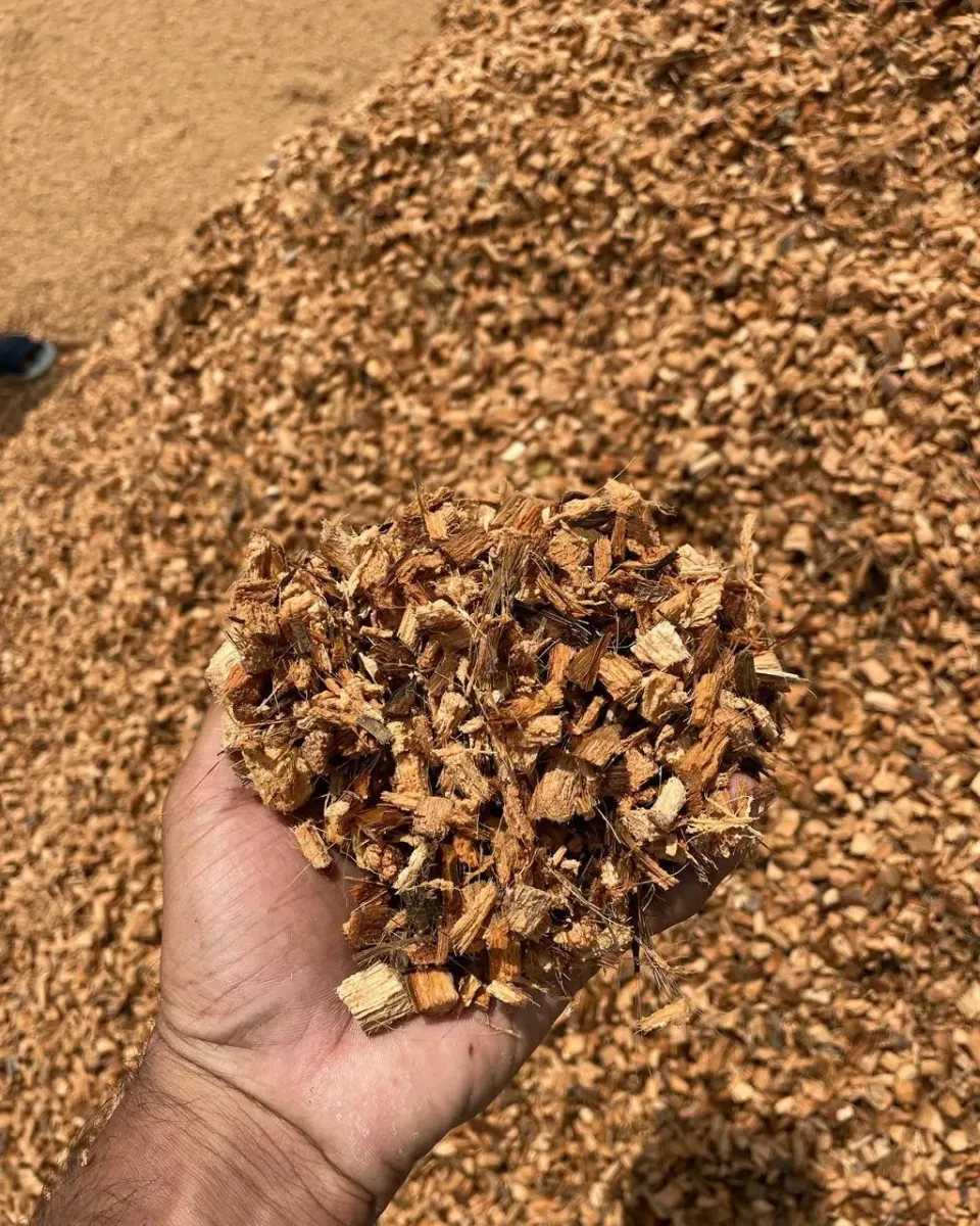 Hand holding a fine mixture of cocopeat and small coconut husk particles