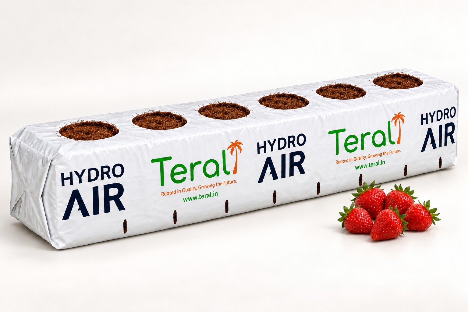 Strawberry Teral bag with illustrative openings