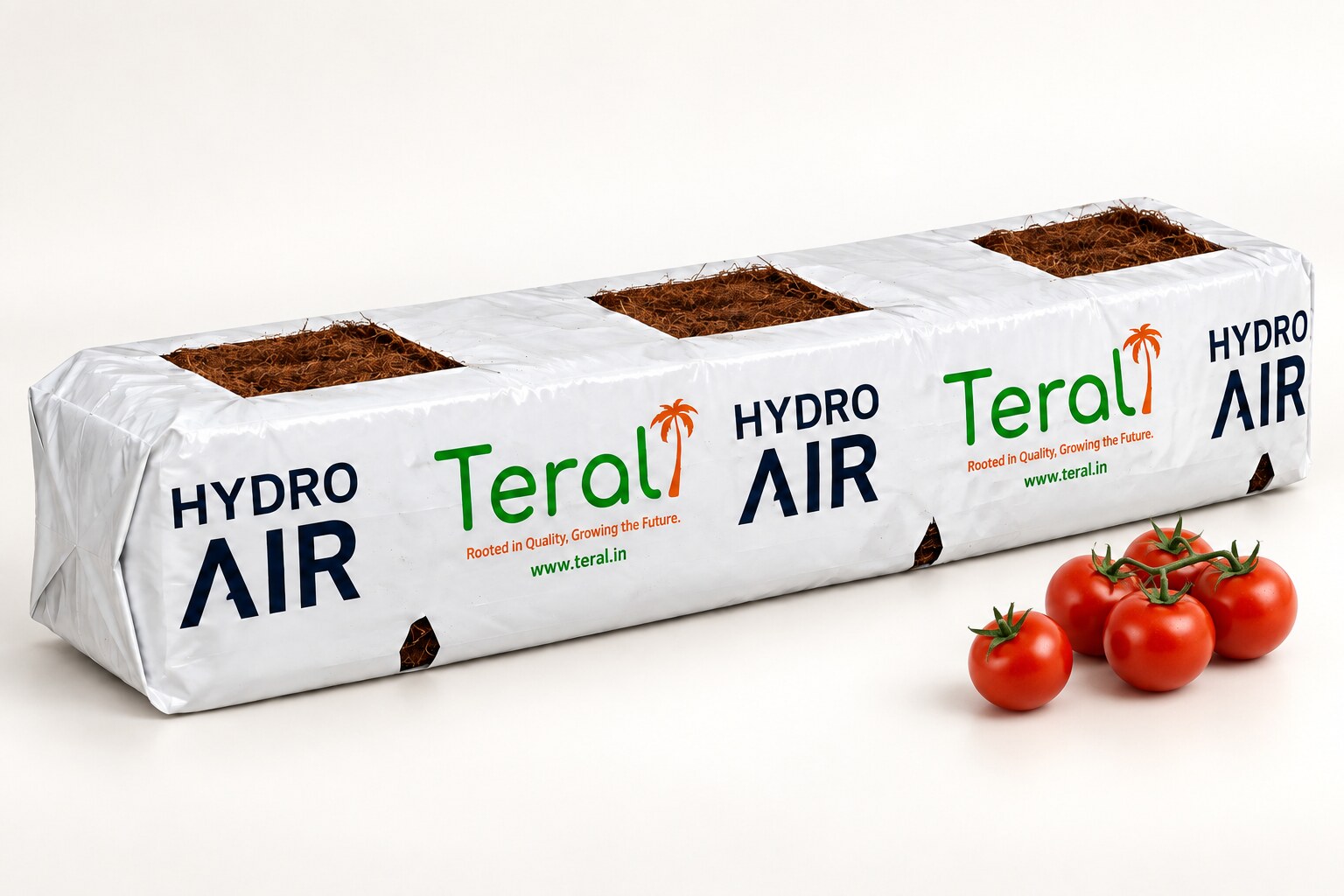 Teral growbag with ripe tomatoes